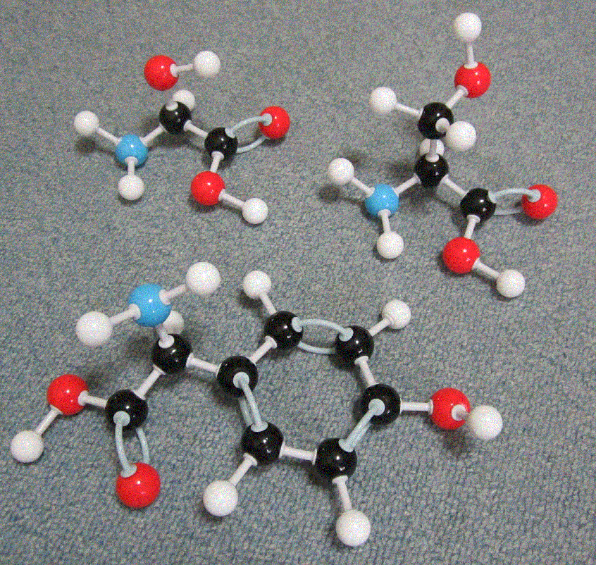 アミノ酸の例2