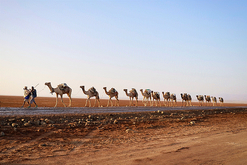 ダナキル砂漠