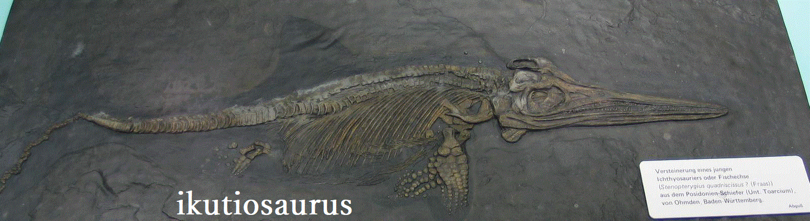 イクチオサウルス